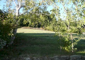 Foto 8 - Casa semi indipendente Poppi - foto 8