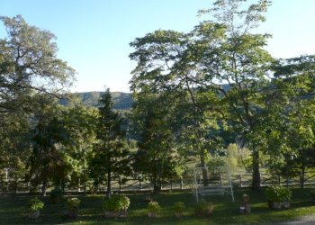 Foto 16 - Casa semi indipendente Poppi - foto 16