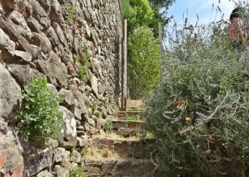 Foto 33 - Appartamento Castel Focognano - foto 33