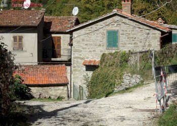 Foto 3 - Independent house PIAN DEI CORTINI
 
217, Bibbiena - photo 3