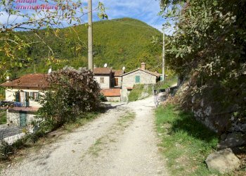 Foto 4 - Independent house PIAN DEI CORTINI
 
217, Bibbiena - photo 4