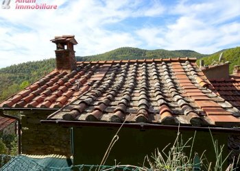 Foto 12 - Independent house PIAN DEI CORTINI
 
217, Bibbiena - photo 12