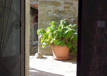 Foto 29 - Independent house PIAN DEI CORTINI
 
217, Bibbiena - photo 29