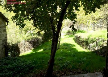 Foto 39 - Independent house PIAN DEI CORTINI
 
217, Bibbiena - photo 39