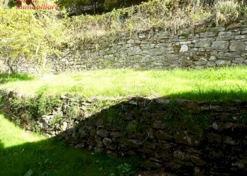 Foto 40 - Independent house PIAN DEI CORTINI
 
217, Bibbiena - photo 40