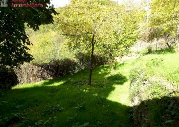 Foto 43 - Independent house PIAN DEI CORTINI
 
217, Bibbiena - photo 43