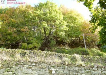 Foto 47 - Independent house PIAN DEI CORTINI
 
217, Bibbiena - photo 47