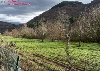 Foto 7 - Casa semi indipendente Pagliericcio
 
189a, Castel San Niccolò - foto 7