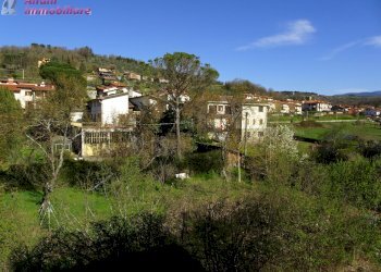 Foto 18 - Appartamento Castel San Niccolò - foto 18