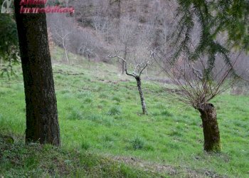 Foto 29 - Casa indipendente Ortignano Raggiolo - foto 29