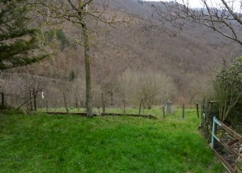 Foto 30 - Casa indipendente Ortignano Raggiolo - foto 30