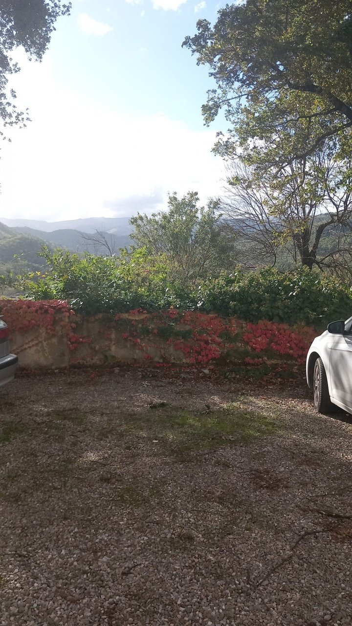 Foto 2 - Trilocale strada regionale consuma
70, Castel San Niccolò - foto 2