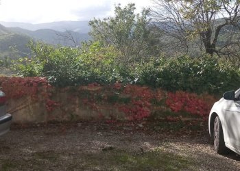 Foto 2 - Trilocale strada regionale consuma
70, Castel San Niccolò - foto 2