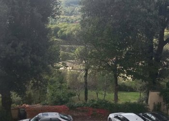 Foto 5 - Trilocale strada regionale consuma
70, Castel San Niccolò - foto 5