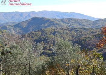 Foto 20 - Casa semi indipendente Talla - foto 20