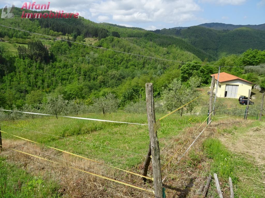 Foto 2 - Terreno agricolo Pratovecchio Stia - foto 2