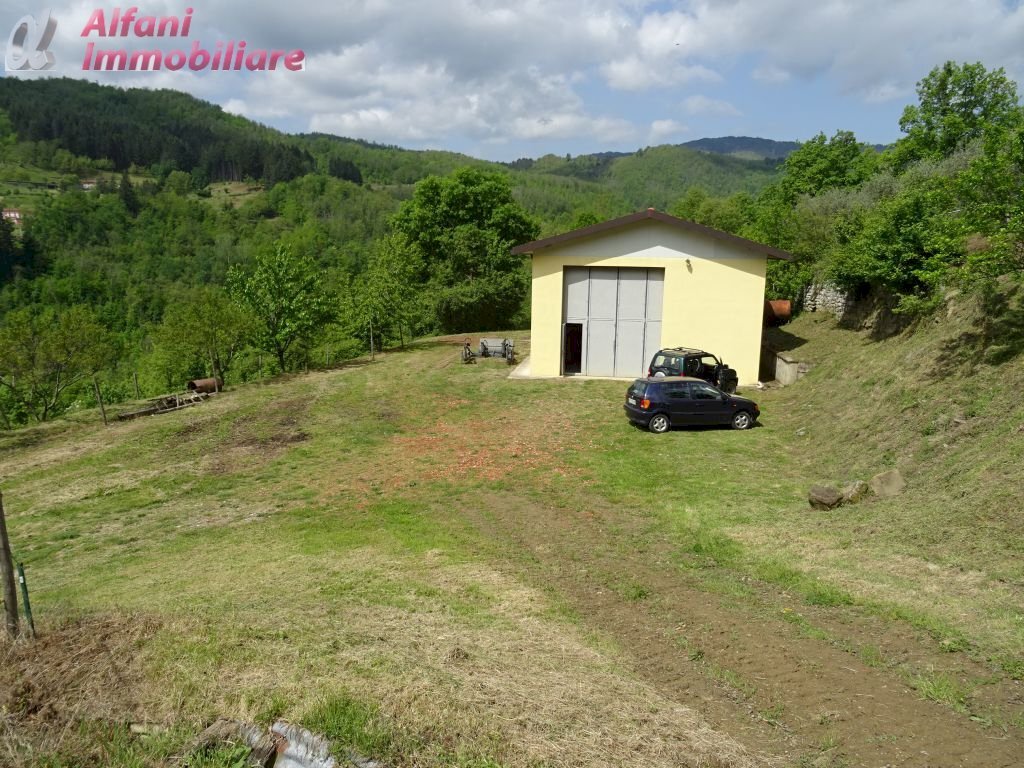 Foto 3 - Terreno agricolo Pratovecchio Stia - foto 3