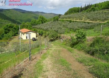 Foto 1 - Terreno agricolo Pratovecchio Stia - foto 1