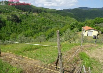 Foto 2 - Terreno agricolo Pratovecchio Stia - foto 2