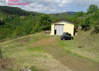 Foto 3 - Terreno agricolo Pratovecchio Stia - foto 3