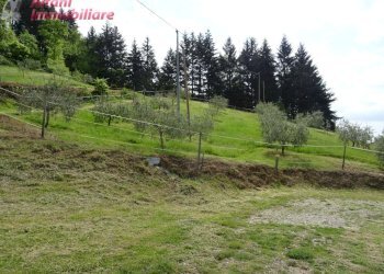 Foto 6 - Terreno agricolo Pratovecchio Stia - foto 6