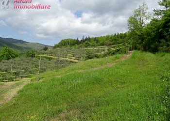 Foto 7 - Terreno agricolo Pratovecchio Stia - foto 7