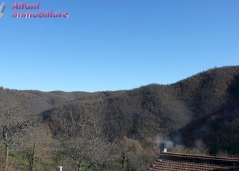 Foto 24 - Casa indipendente Castel San Niccolò - foto 24