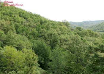 Foto 67 - Villa Casa Moggio
 
15, Chiusi della Verna - foto 67