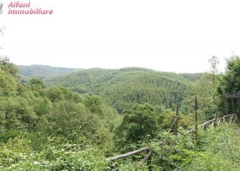 Foto 68 - Villa Casa Moggio
 
15, Chiusi della Verna - foto 68