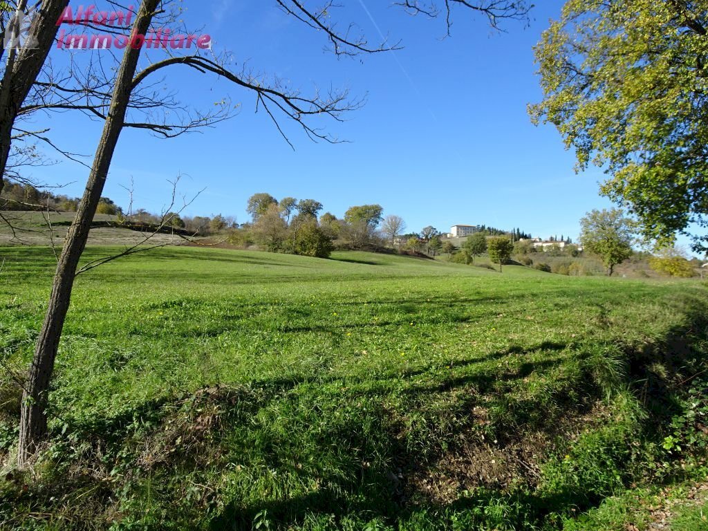 Foto 3 - Rustico Buiano, Poppi - foto 3