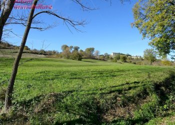 Foto 3 - Rustico Buiano, Poppi - foto 3