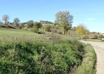 Foto 5 - Rustico Buiano, Poppi - foto 5