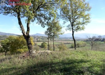 Foto 9 - Rustico Buiano, Poppi - foto 9