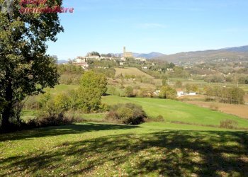 Foto 12 - Rustico Buiano, Poppi - foto 12