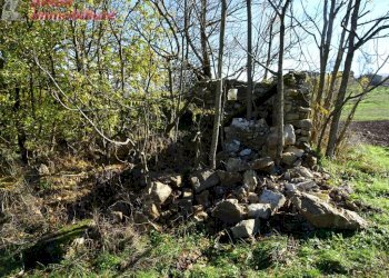 Foto 14 - Rustico Buiano, Poppi - foto 14