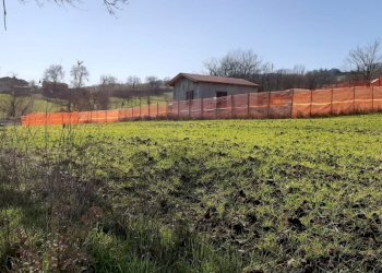 Foto 16 - Rustico Buiano, Poppi - foto 16