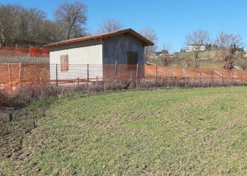 Foto 17 - Rustico Buiano, Poppi - foto 17