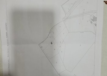 Foto 22 - Rustico Buiano, Poppi - foto 22