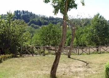 Foto 11 - Quadrilocale Poppi - foto 11