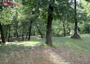 Foto 25 - Villa Bibbiena - foto 25