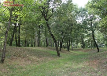 Foto 28 - Villa Bibbiena - foto 28