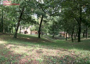 Foto 36 - Villa Bibbiena - foto 36