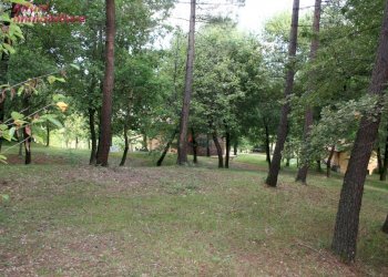 Foto 39 - Villa Bibbiena - foto 39