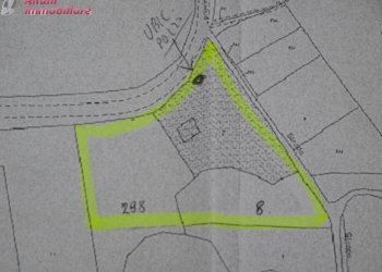 Foto 94 - Villa Bibbiena - foto 94