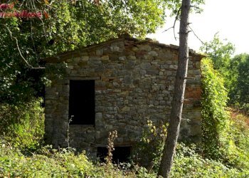 Foto 4 - Villa Podere IL CASONE
 
55/A, Poppi - foto 4