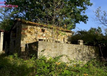 Foto 7 - Villa Podere IL CASONE
 
55/A, Poppi - foto 7