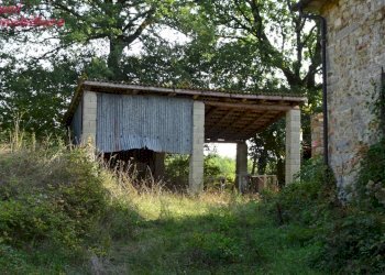 Foto 11 - Villa Podere IL CASONE
 
55/A, Poppi - foto 11