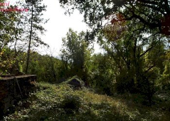 Foto 24 - Villa Podere IL CASONE
 
55/A, Poppi - foto 21