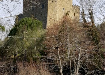 Foto 12 - Bilocale Loc. Castello
 
87, Castel San Niccolò - foto 12