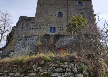 Foto 15 - Bilocale Loc. Castello
 
87, Castel San Niccolò - foto 15